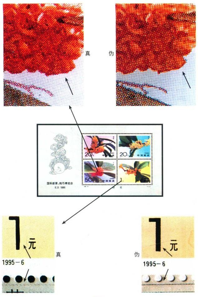 桂花