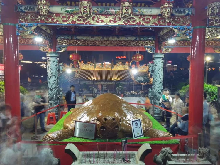 丁墘大卿宫摆大龟.jpeg