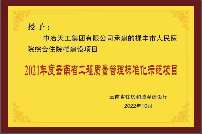 中冶天工集团有限公司