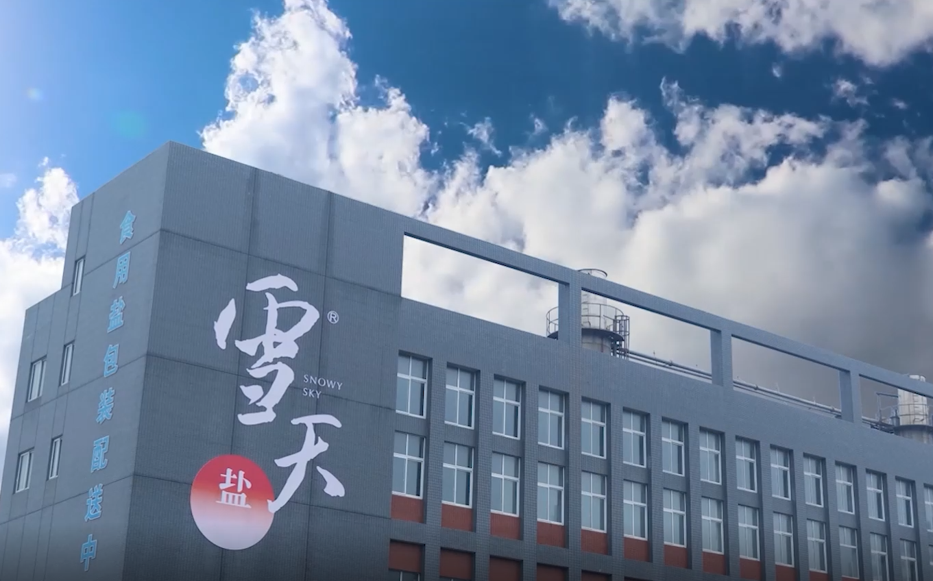 雪天盐业集团股份有限公司