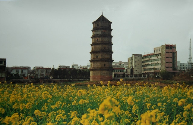 粘贴图片1-1692614376081.png