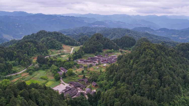 务川仡佬族苗族自治县