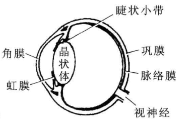 粘贴图片2-1694527282835.png