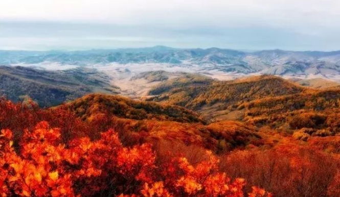大顶山自然风景区.jpeg