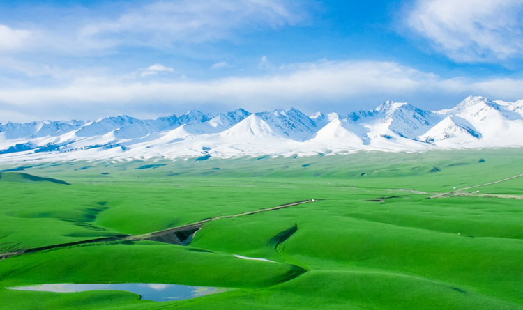 新疆维吾尔自治区