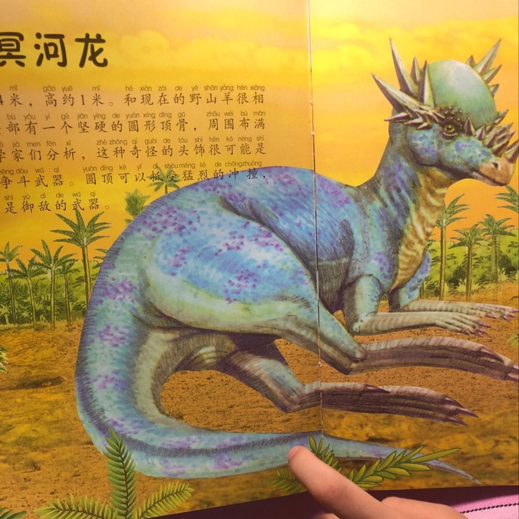 冥河龙