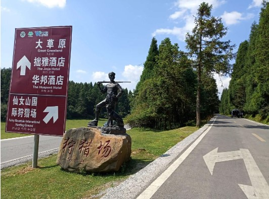 仙女山国家森林公园