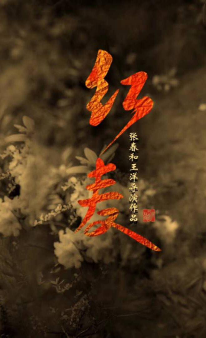 韩月乔
