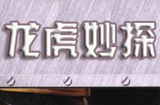 龙虎妙探