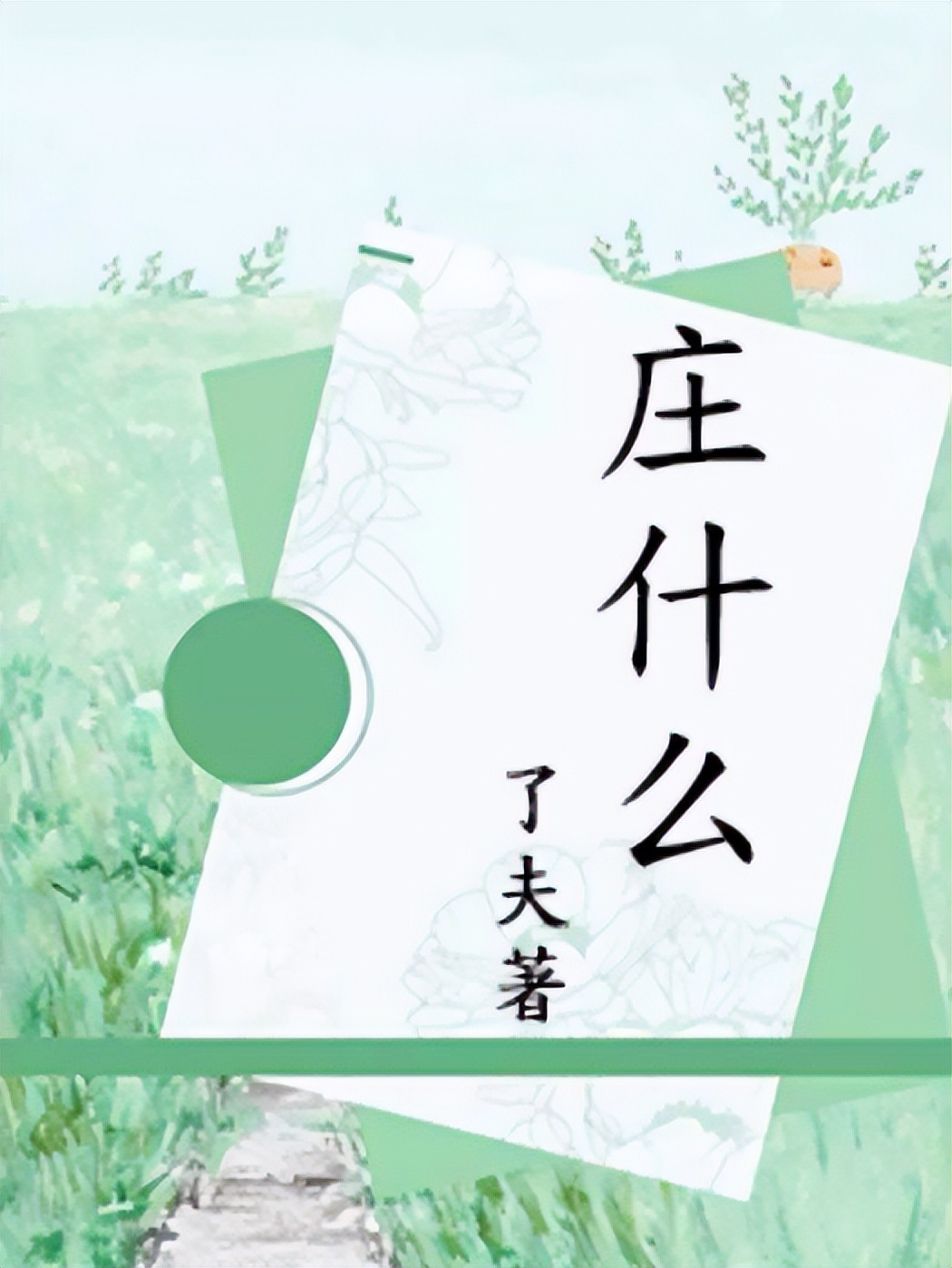庄什么