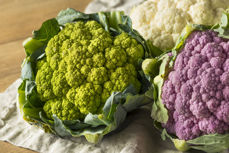 生有机多色花椰菜准备烹饪Raw Organic Multi Colored Cauliflower Ready to Cook