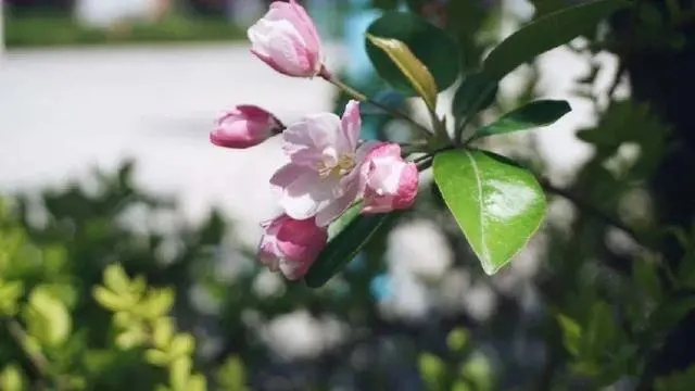 燕京理工学院