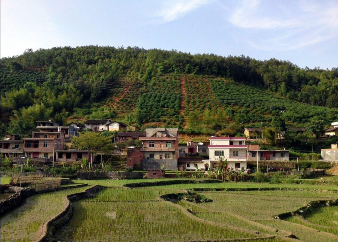 水城村