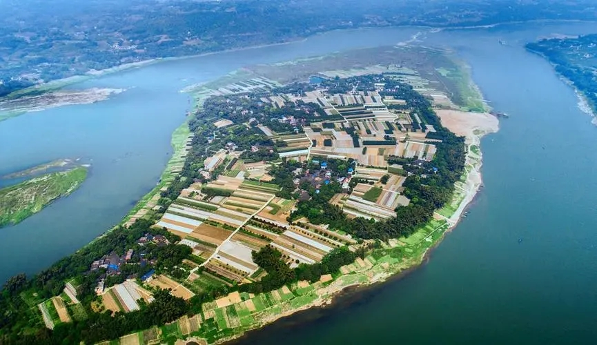 鱼洞中坝岛