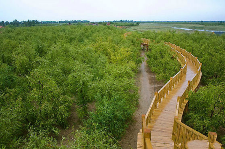 屏幕截图 2023-10-24 145254.png