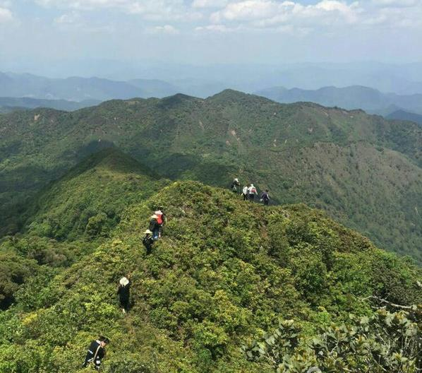 梅子镇(云南普洱市宁洱县下辖镇)_百科资料_新农商网