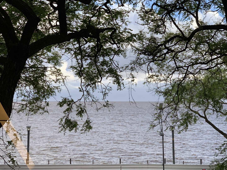 拉普拉塔河－巴拉那河