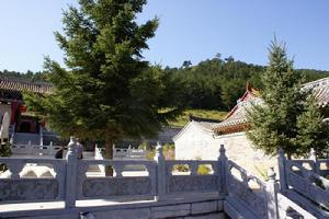 南峪村[山西省晋城市沁水县十里乡下辖村]