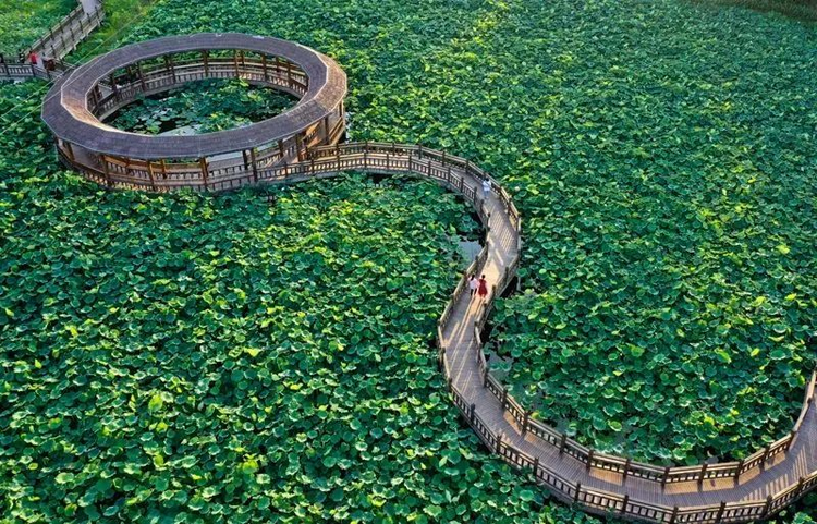 南溪区