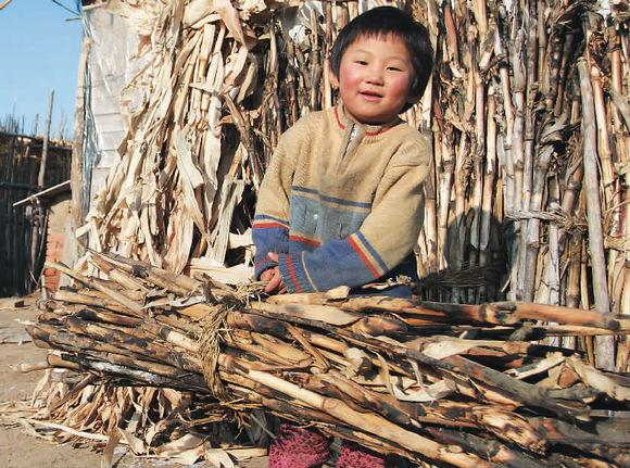 孙悦