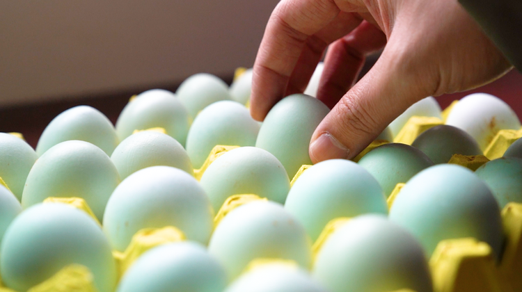 黔南布依族苗族自治州