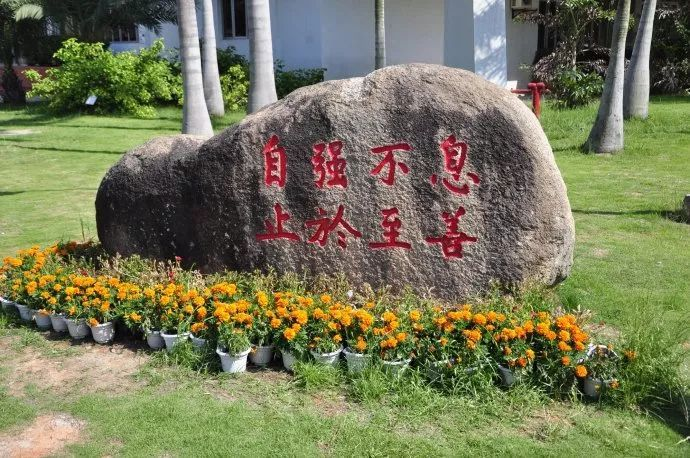 厦门大学嘉庚学院