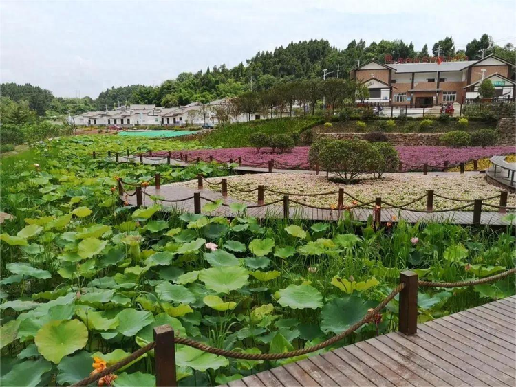 简阳市