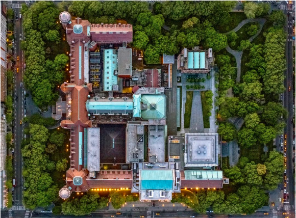 美国自然历史博物馆