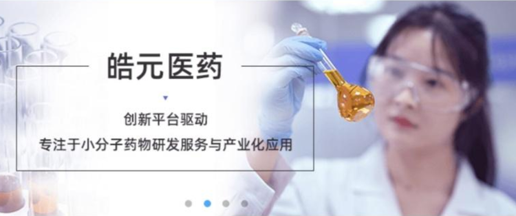 上海皓元医药股份有限公司