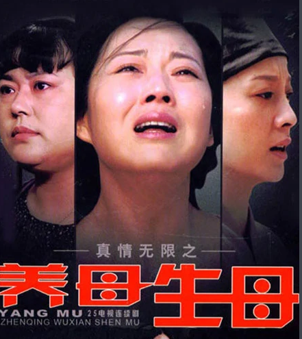 真情无限之养母·生母