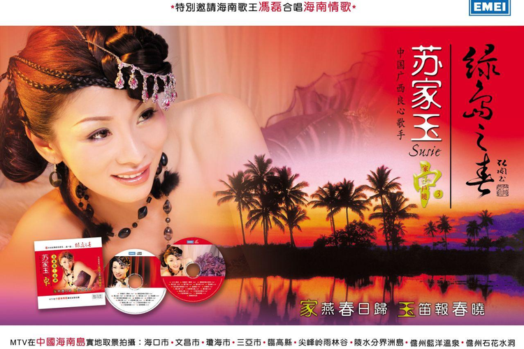 海南东西鼎盛文化