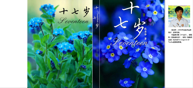 十七岁 封面展开图