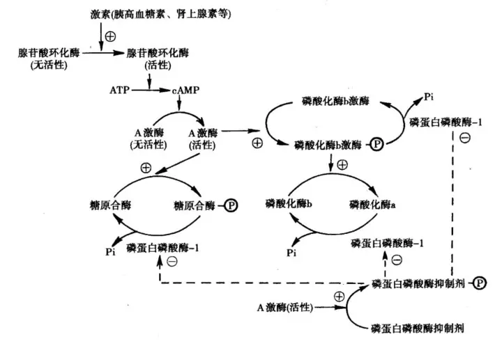 u=2633454828,3061475844&fm=253&app=138&f=PNG&fmt=auto&q=75.png