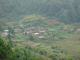 凤凰村