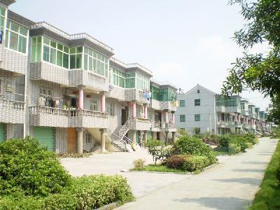 浙江省新市镇白彪村村容
