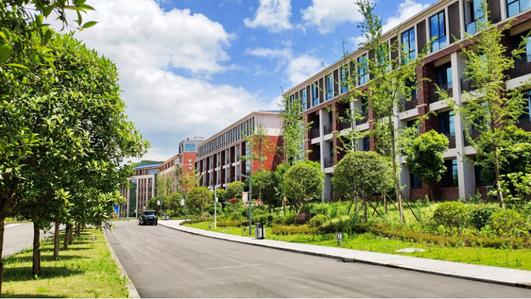 重庆健康职业学院