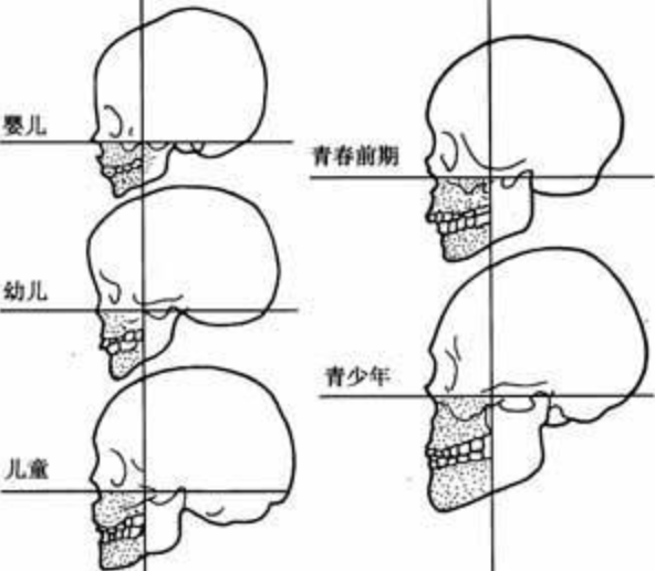 颅容量
