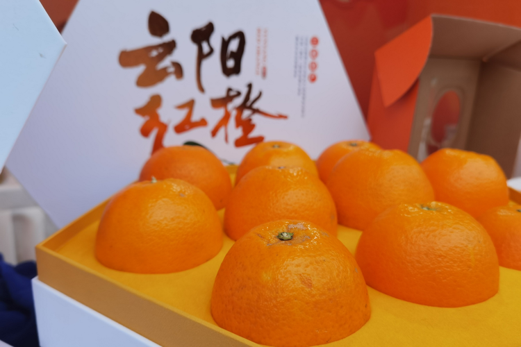 云阳县