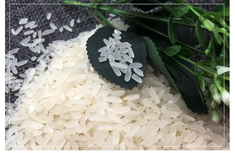 乌鲁木齐市