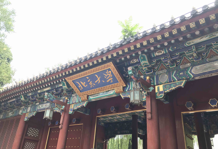 文物与博物馆学
