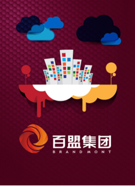 湖北百盟投资集团有限公司