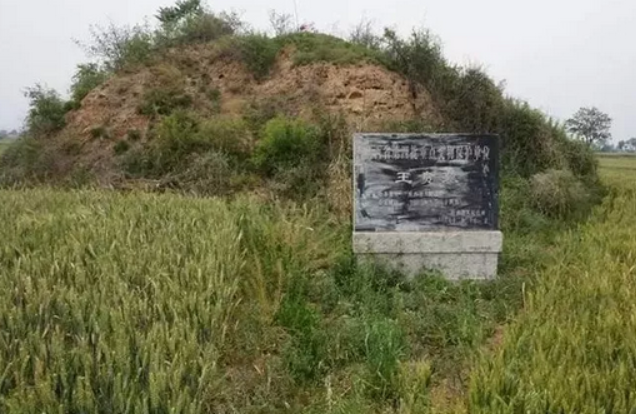 王贲