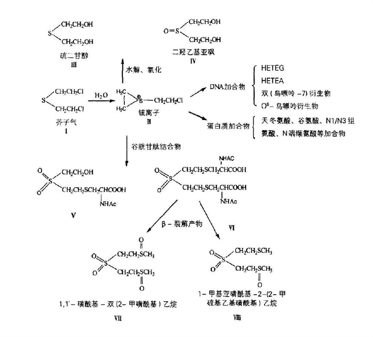 芥子毒气