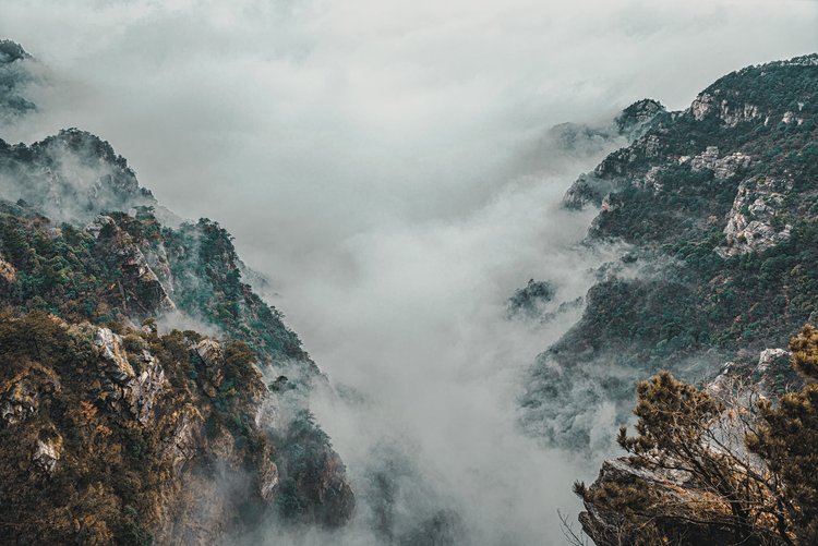 庐山风景区.jpeg