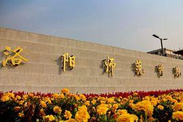 洛阳师范学院教育科学学院