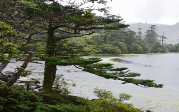 迪庆藏族自治州