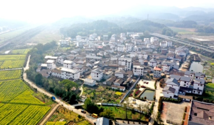 临川区