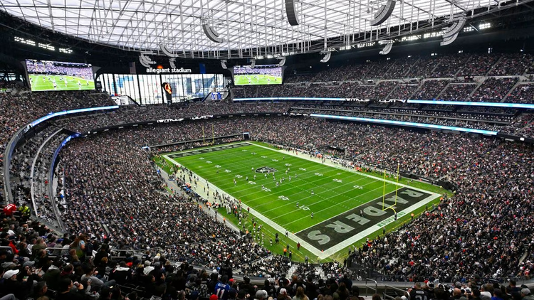 新英格兰爱国者队