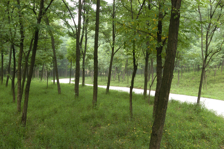 2345_image_file_copy_1.jpeg