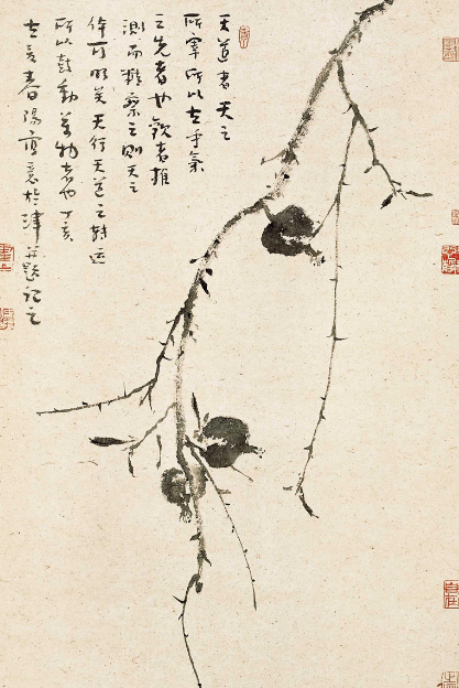 霍春阳